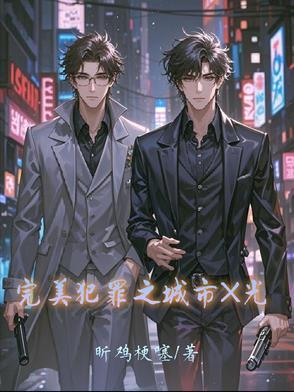 完美犯罪之城市X光 完美犯罪之城市X光