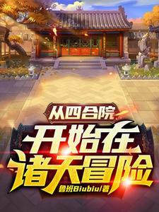 从四合院开始在诸天冒险 从四合院开始在诸天冒险