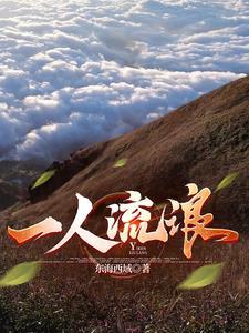 一人流浪 一人流浪