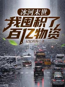 冰河末世,我囤积了百亿物资 冰河末世,我囤积了百亿物资