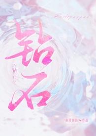 钻石(np) 钻石(np)