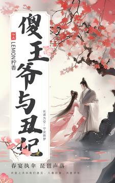 傻王与王妃 傻王与王妃
