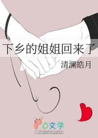 下乡的姐姐回来了 下乡的姐姐回来了