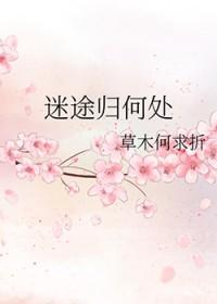 迷途归何处 迷途归何处