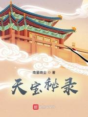 天宝秘录 天宝秘录