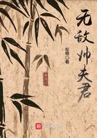 无敌帅夫君 无敌帅夫君