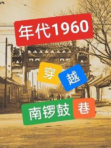 年代1960:穿越南锣鼓巷, 年代1960:穿越南锣鼓巷,