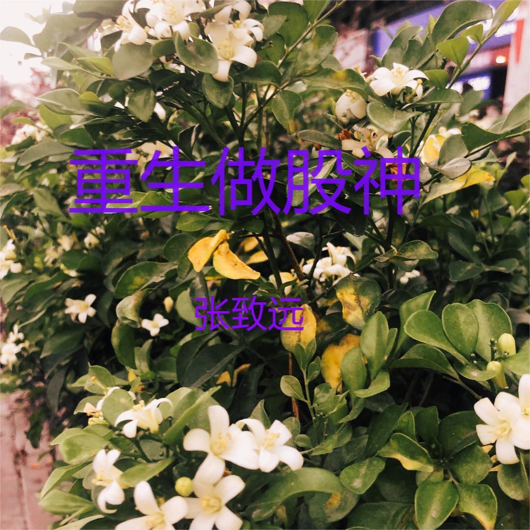重生:金融巨子归来为爱涤荡乾坤 重生:金融巨子归来为爱涤荡乾坤