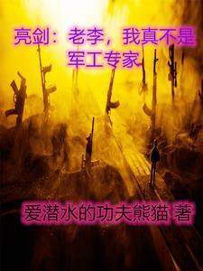 亮剑:老李,我真不是军工专家 亮剑:老李,我真不是军工专家